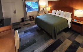 Shelton Inn